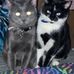 Ann Westerh - Facebook