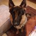 Ann Westerlund - Facebook