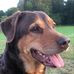 Anna Westerlund - Facebook