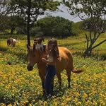 Annie Lou’s Boutique & Western Store - @annieloushawaii - Instagram