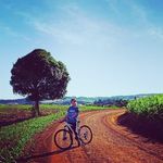 Annais Westervelt - @annaiswestervelt - Instagram