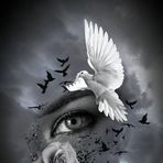 Hope Ann Westervelt - Facebook