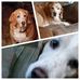 Ann Westfall - Facebook