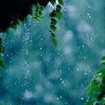 Ann Weston - @annweston3650 - Instagram