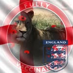 Ann Weston - @annweston67 - Instagram