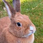 Ann Weston - @ann.weston1966 - Instagram