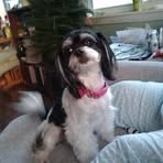 Ann Wetherell - Facebook