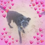 Susan Anne Wetherell - @susananne.wetherell - Instagram