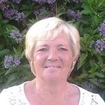 Ann Wetherill - @annwev1 - Instagram