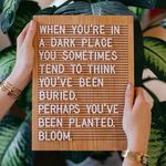 Ann Wetzel - @healthysoul9 - Instagram