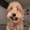 SueAnn - @sueann.wetzel - TikTok