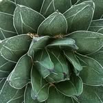 Ann F Wheat - @wheatannf - Instagram