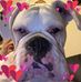 Anna Wheat - Facebook