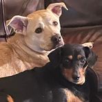 Ann Wheelock Byrd - Facebook