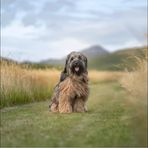 Anna Whitehall - Facebook
