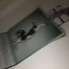 annaliseee Whitehall 💤💤💤 - @annawhitehall - TikTok
