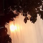 anne whitehall - @annewhitehall2024 - Instagram