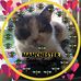 Ann Whitehead - Facebook