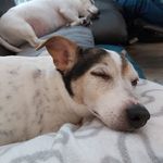 Ann Whitehead - @annwhitehead522 - Instagram