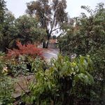 Rosemary Ann Whitehead - @rosemaryannwhitehead - Instagram