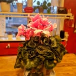 Ann Citron Wiberg - @citronwiberg - Instagram
