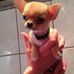 Ann Wiberg Rammus - Facebook