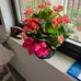 Anne Wiberg - Facebook