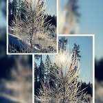 Mari-Ann Wiberg - @mariannwiberg - Instagram