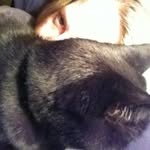Lee-ann Wilber - @lwilber1970 - Instagram