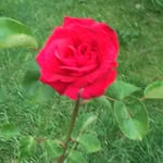 Ann Wilkinson - @annwilkinson1957 - Instagram