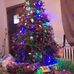 Ann Wilkinson - Facebook
