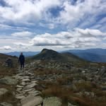 Ann Wilkinson - @annwilkinson_ - Instagram
