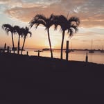 Ann Wilkinson - @annwilkinson9 - Instagram