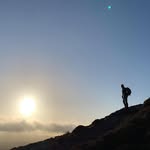 Ann Wilkinson - @annwilkinson2024 - Instagram