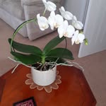 Ann Wilkinson - @annwilkinson891 - Instagram