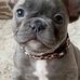 Ann Wills - Facebook