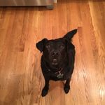 ann wortman - @anniemcwort - Instagram