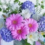 Anna Abt - @abt3866 - Instagram