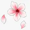 Cherry blossom 🍒🌸✨ - @annaabt4 - TikTok