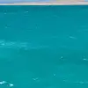 user8163154209530 - @abt.anna - TikTok