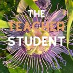 Anna Acker-Wingo - @the_teacher_student - Instagram