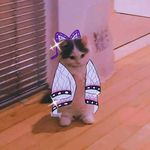 Anna Ackerman - @lizaa_zambrano - Instagram