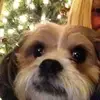 Anna Ackley359 - @annaackley1050 - TikTok