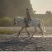 Anna Adair - Facebook