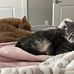 Anna Adkins - Facebook