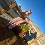 Anna Adkins - @_annaadkins - Instagram