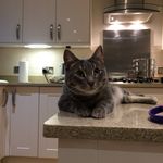 Anna Adkins - @lil_a1978 - Instagram