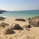 Ana Afshar - Facebook