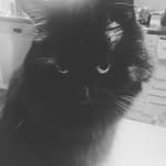 Anna Liv Ahlstrand - @ahlna72 - Instagram