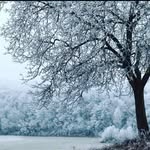 joshshapiro - @anna_albers8 - Instagram